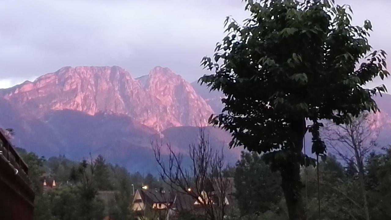 Willa U Zofii Zakopane Exterior foto